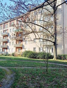 Stadtwohnung mit offener Küche nahe dem Stresemannplatz! - Dresden