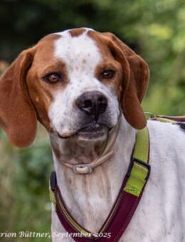 Teo ist ein lustiges Energiebündel - Egelsbach