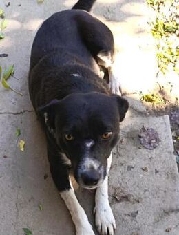 soziale MALAYA wartet auf Chance - München