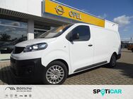 Fiat Scudo, 2.0 Multijet L3 SX Regal reca MAXMOBIL, Jahr 2022 - Schönebeck (Elbe)