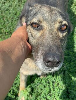 Lupita sucht ihre Menschen - Celle