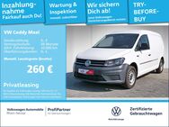 VW Caddy, 2.0 TDI EcoProfi Maxi Kasten, Jahr 2019 - Mannheim