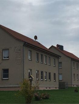 Sanierte 3-Raumwohnung in Schönewerda im 1.OG zu vermieten! - Roßleben