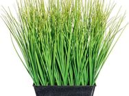 Kunstgras Gras Gras, Creativ green, Höhe 30 cm