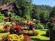 Historisches Jagd- und Forsthaus im Stile eines Schwarzwaldhofes, mit großem Park direkt am Hochwald - Bad Rippoldsau-Schapbach