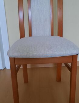 4 gepolsterte Wohnzimmerstühle - Dresden