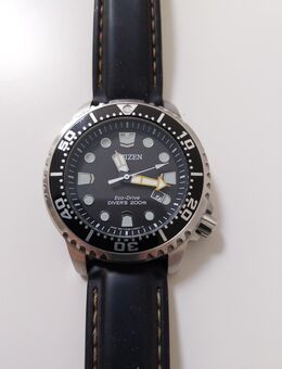 Herrenuhr Citizen Eco-Drive Divers 200m - Greifswald