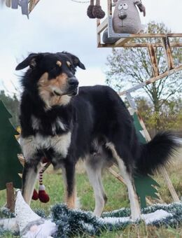 Matteo - Salzwedel (Hansestadt) Zentrum