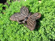 Gartenfigur Schmetterling Gusseisen - Wegberg Zentrum