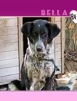 ❤ BELLA L - WO FINDE ICH MEINE MENSCHEN? - Alfeld (Leine)