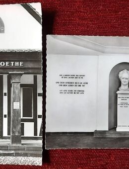 2 alte Postkarten Motive „Memorial Goethe“ in Sessenheim - Niederfischbach