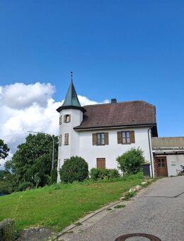 Vermietetes Einfamilienhaus in Geisenhausen - Geisenhausen