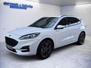 Ford Kuga 2.0 EcoBlue 4x4 Aut. ST-LINE X LED+ACC+RFK - Freiburg (Breisgau)