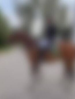 Mar*** - Ottendorf-Okrilla