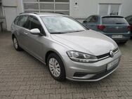 VW Golf Variant, 1.6 TDI Trendline SITZ, Jahr 2019 - Bergkamen