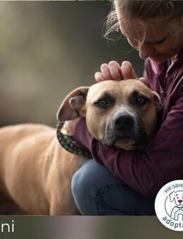 Froni: sucht starke Führung - Kirchzell