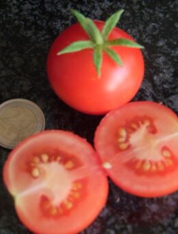Money Maker - Stabtomate - Stuttgart