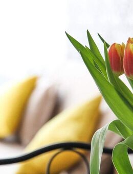 Ansprechendes Einfamilienhaus mit Einliegerwohnung in Dülmen - Dülmen