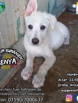 LENYA-gespannt auf das Leben bei euch - Waakirchen