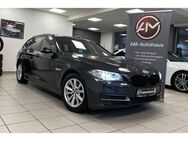 BMW 520 d Touring *AHK*HiFi*BiXenon*Ambientebeleuchtu - Hamburg