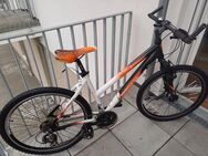 Hercules Mountainbike 26 Zoll - Annweiler (Trifels)