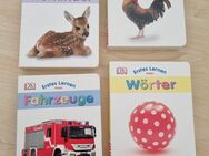 Kinder Lern Bücher ab 1 Jahr Neu - Nesse-Apfelstädt