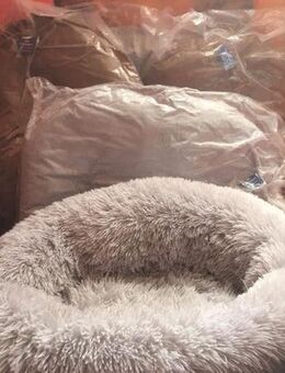 TIER PLÜSCH DONUT 70 CM *GRAU & BRAUN *NEU* ODER KUSCHELKISSEN - Großostheim