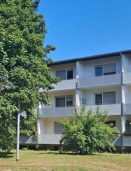 Nur für Studierende! Gemütliches und helles 1 Zimmer-Apartment mit Loggia, Rödgener Str. 85, Gießen - Gießen