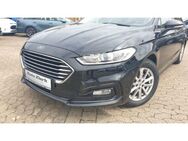 Ford Mondeo Turnier Business Edition 2.0 EcoBlue,Autom.,Navi,Pano - Peine