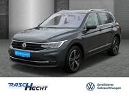 VW Tiguan, 1.5 TSI Move, Jahr 2023 - Fürstenfeldbruck
