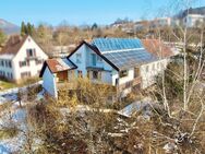 Nachhaltige DHH mit riesigem Garten (inkl. 2. Flurstück) in idyllischer Lage - Balingen