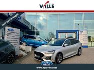 Ford Focus, ST-Line X System, Jahr 2023 - Dülmen