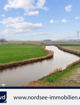 Penthouse im Haus Norderney - Dornum