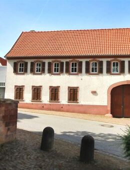 Attraktiv, lukrativ und preisreduziert ! - Obrigheim (Pfalz)