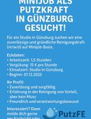 Minijob als Putzkraft in Günzburg gesucht! in 89312