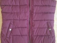 Weste Jacke Damen Wattiert von U.S.POLO ASSN. Gr. S 36 Warm und Leicht - Regensburg