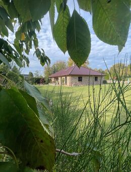 Wunderschönes energieeffizientes und modernes Einfamilienhaus mit sehr großem Grundstück - Bastorf