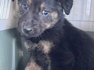 Baby Arina - Pfinztal