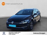 VW Golf Variant, 1.6 TDI Golf VII IQ DRIVE, Jahr 2020 - Lüneburg