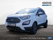 Ford EcoSport C&C 1.0 ECOBOOST FSE LENKRADHEIZUNG - Halle (Saale)