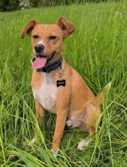 Timo aus 47799 Krefeld sucht sein Glück! - Krefeld