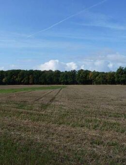 ca. 10,80 ha Ackerlandverkauf im Raum Alfhausen / Rieste - Alfhausen