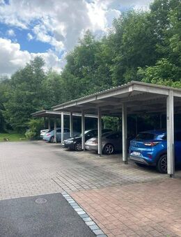 ***LOGENPLATZ AM FARRNBACH...EINFAMILIENHAUS...Ländlich ruhig und doch STADTNAH modern...*** - Fürth