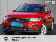 VW Tiguan, 2.0 l TDI Life, Jahr 2023 - Mainz
