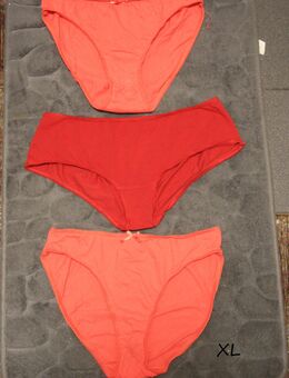 3 verschiedene Damen Slip, Unterhosen, Pants XL - Borken