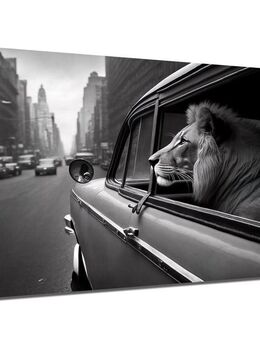 Wandbild auf Toilette 30x40cm HDF Wandbehang Dekoration Bild Auto - Birkenfeld (Baden-Württemberg)