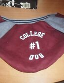 Hundemantel College Dog Gr M in 66540