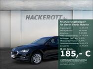 Skoda Octavia, 1.5 TSI EU6d Combi Ambition e-TEC, Jahr 2023 - Langenhagen