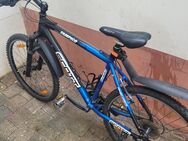 Scott mountainbike 26 Zoll - Alzey