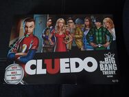 Cluedo the Big Bang Theory - Wendeburg